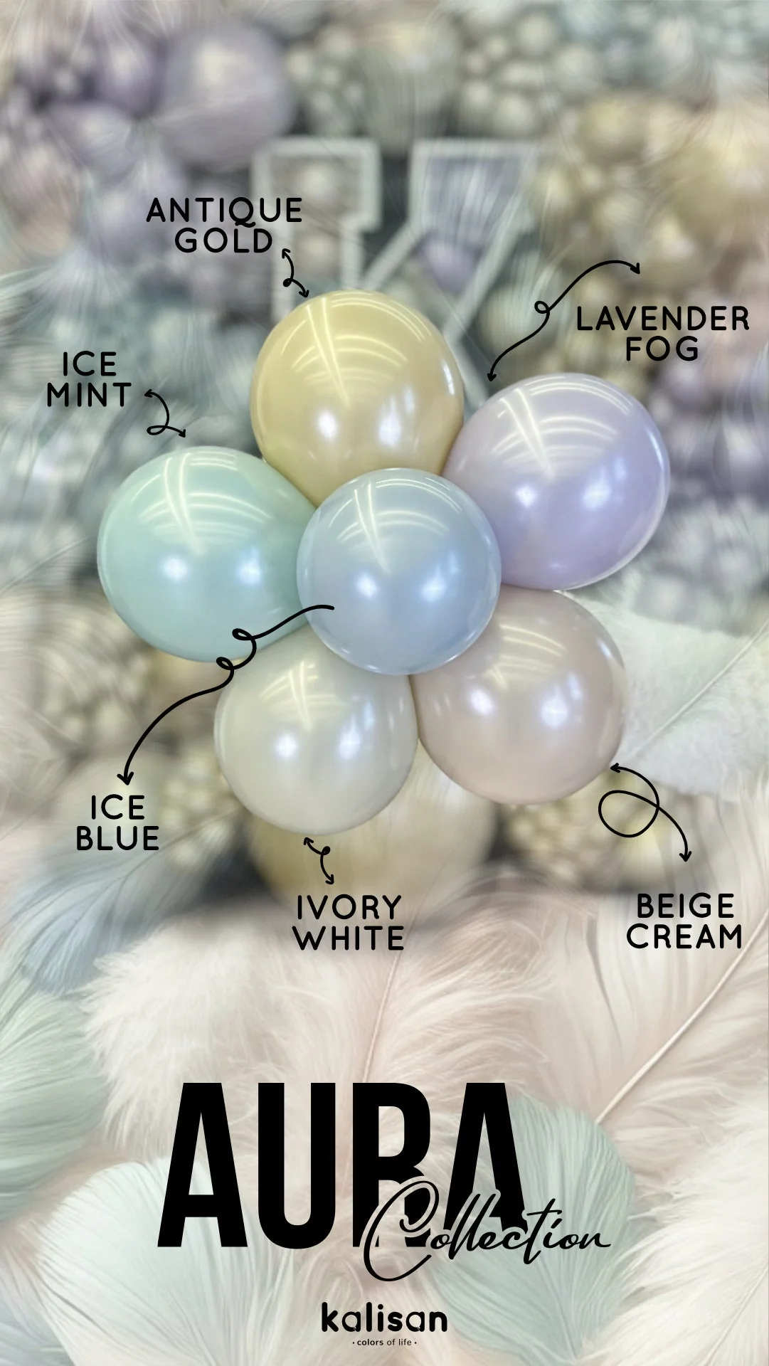Thumbnail 16